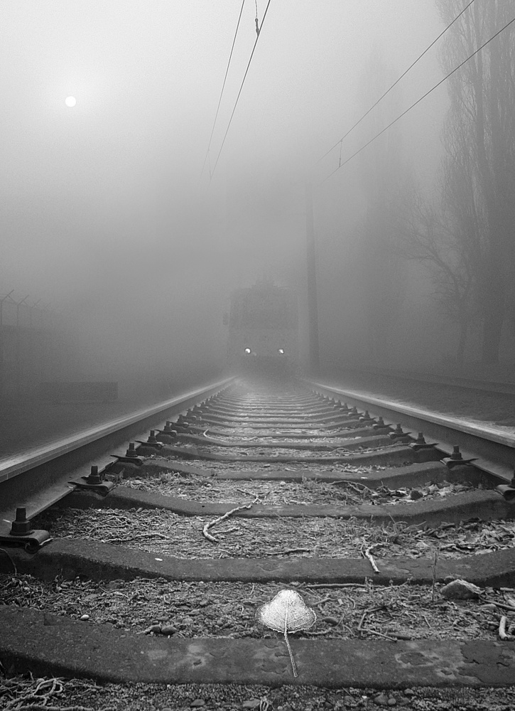 Die Jagd nach dem Nebel