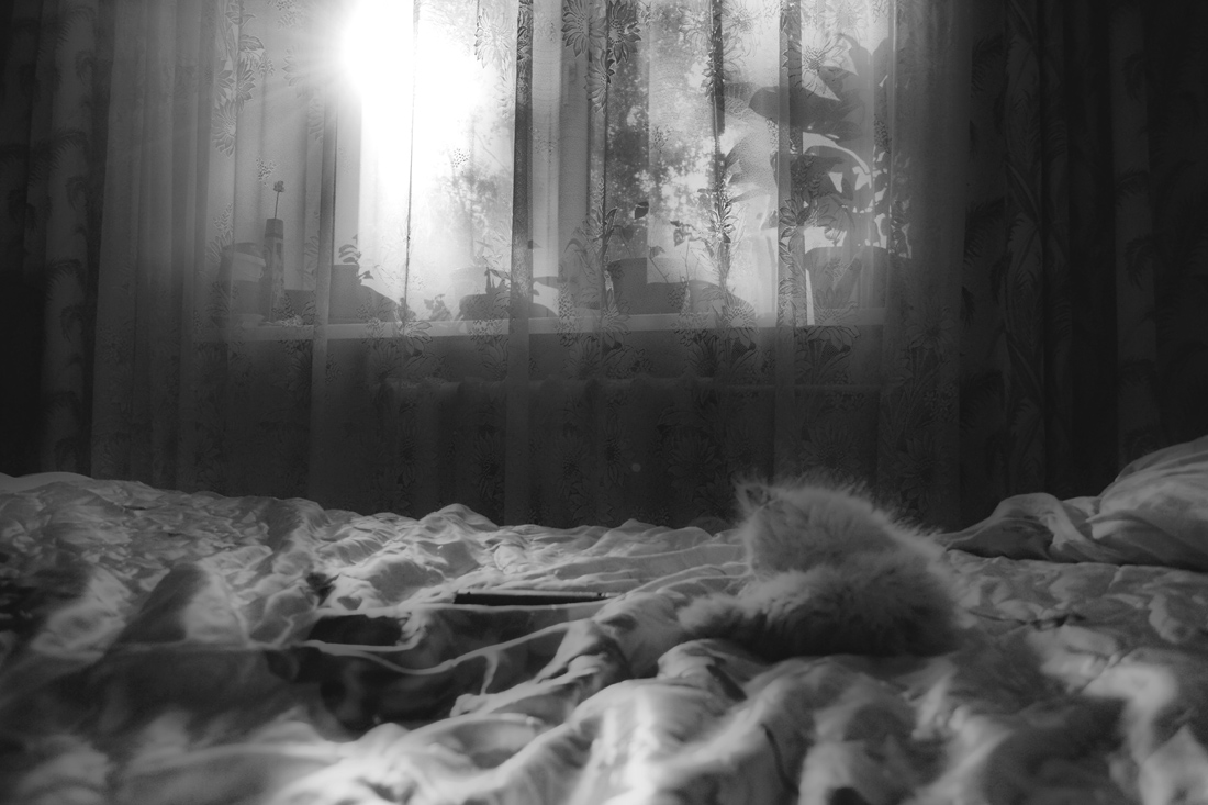 Ästhetik und Komfort wie eine Katze ruht ...