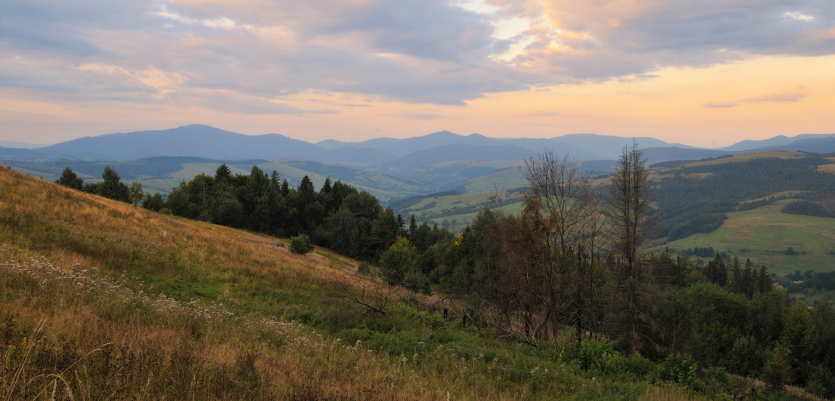 Ein ruhiger Abend ...