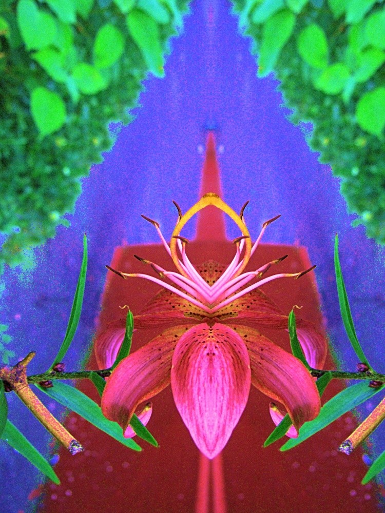 die andere Seite der Blume