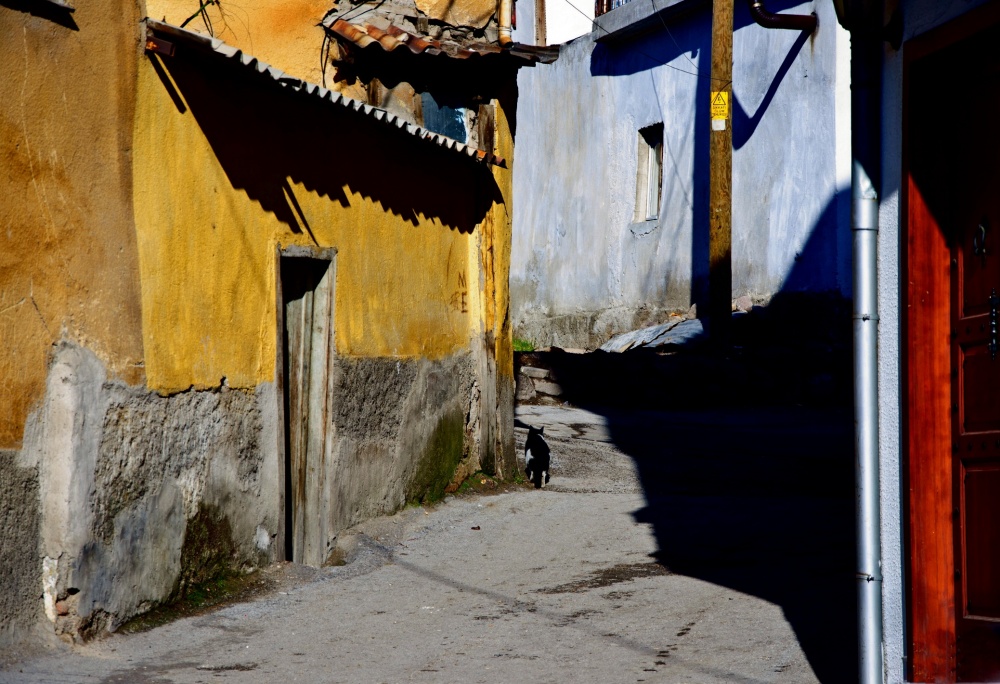 Eine Katze geht von ihm selbst