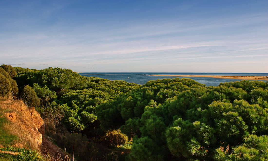 Ausscheiden aus dem Horizont ...