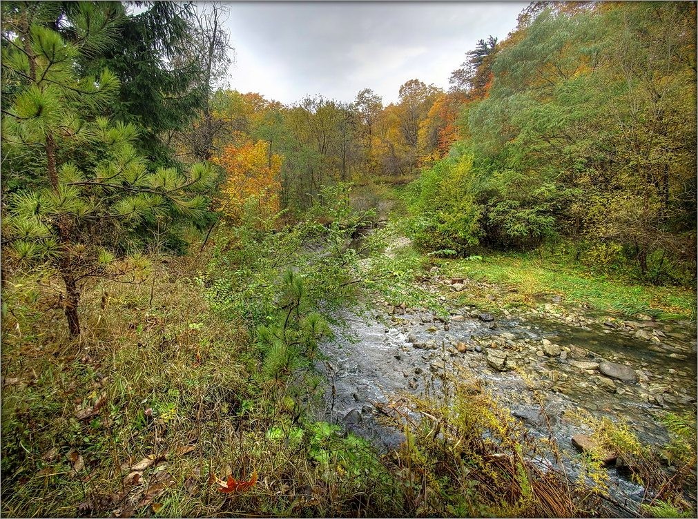 September Joggen Taylor