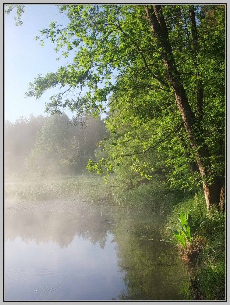 Morgen auf dem Neman