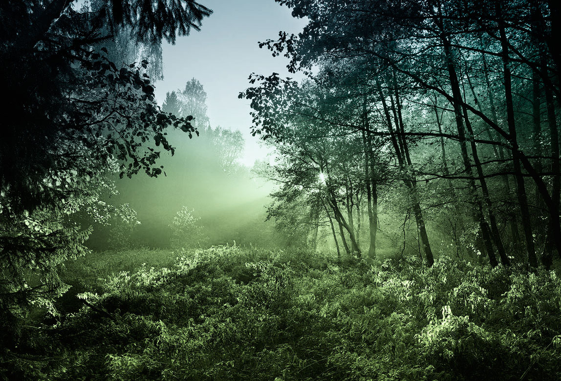 aus der Welt der Träume