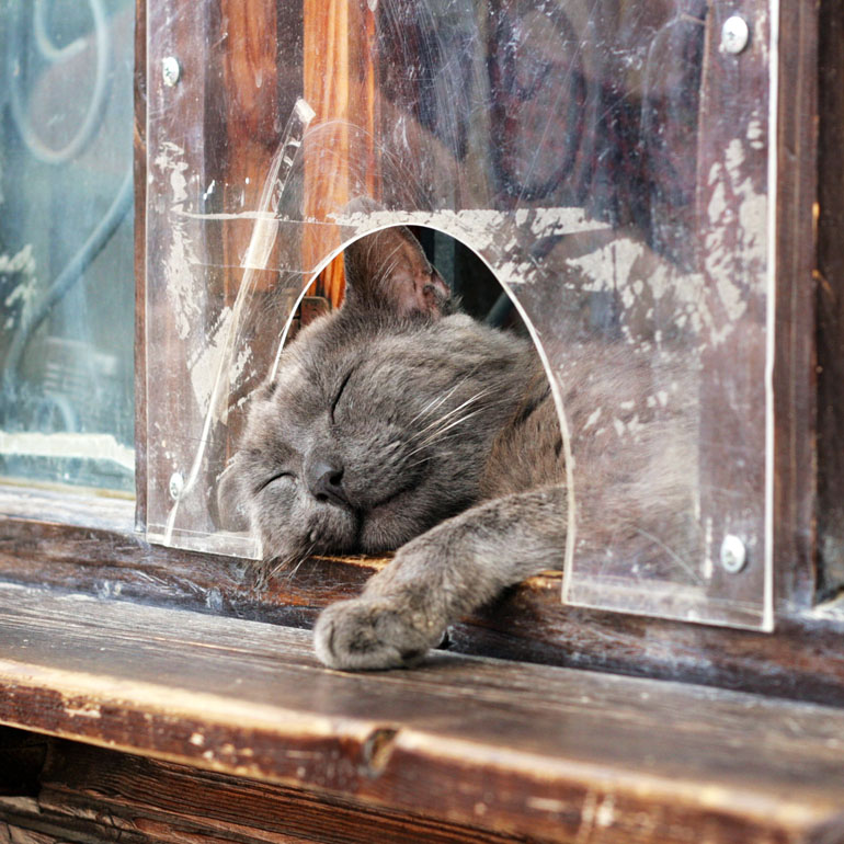 saldat spits - Service idze