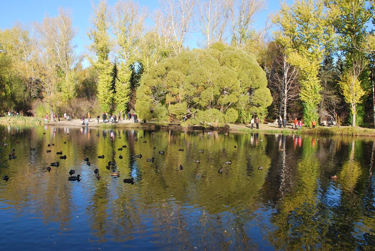 Erinnerung an den Herbst