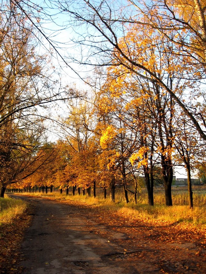 Alter, wie der Herbst, der ...