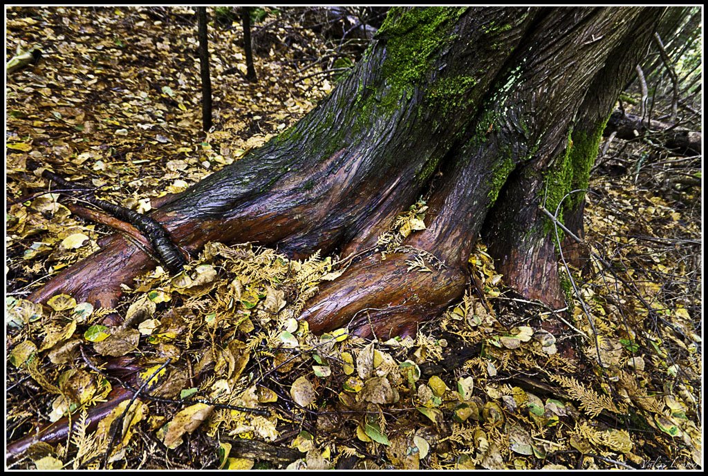 Auf unbekannten Pfaden