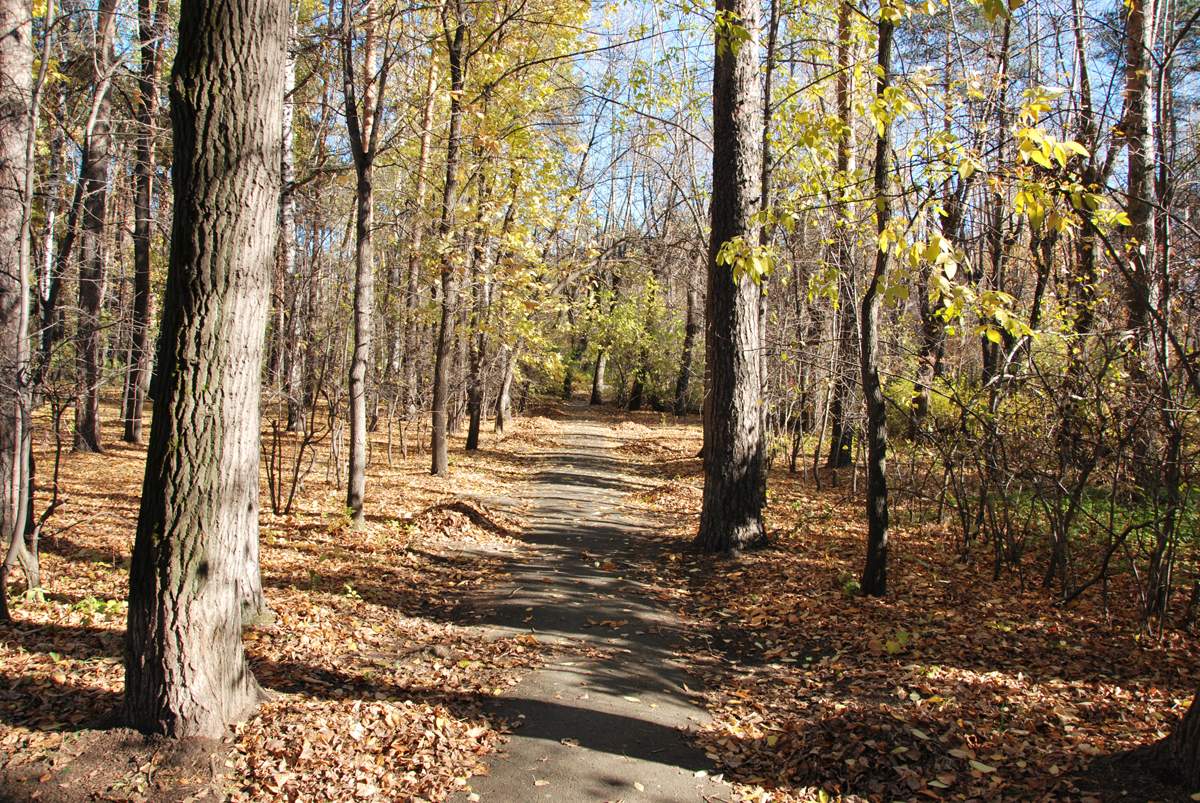 Erinnerung an den Herbst