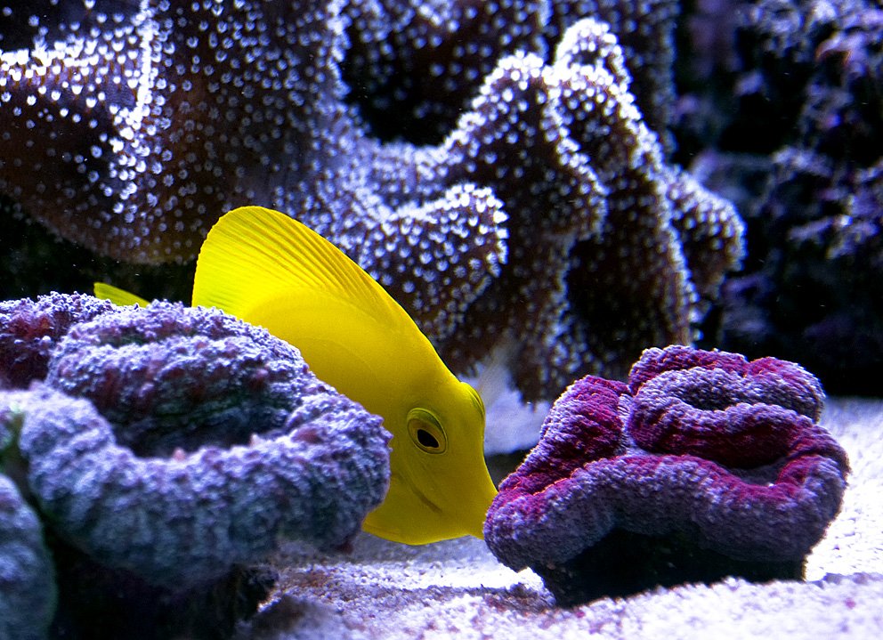 Underwater World - Details