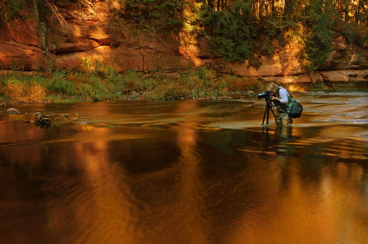 Gold für den Fotografen