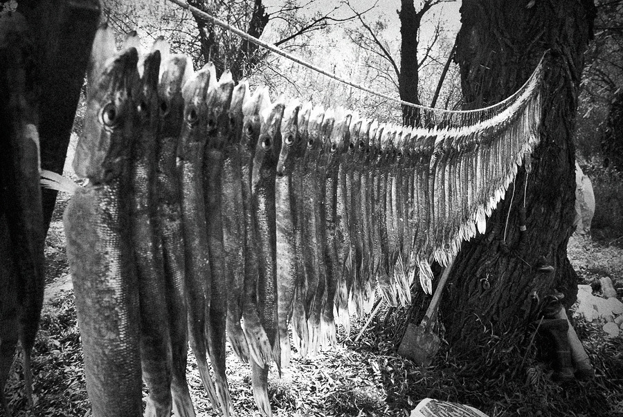 Wenn der Winter kommt