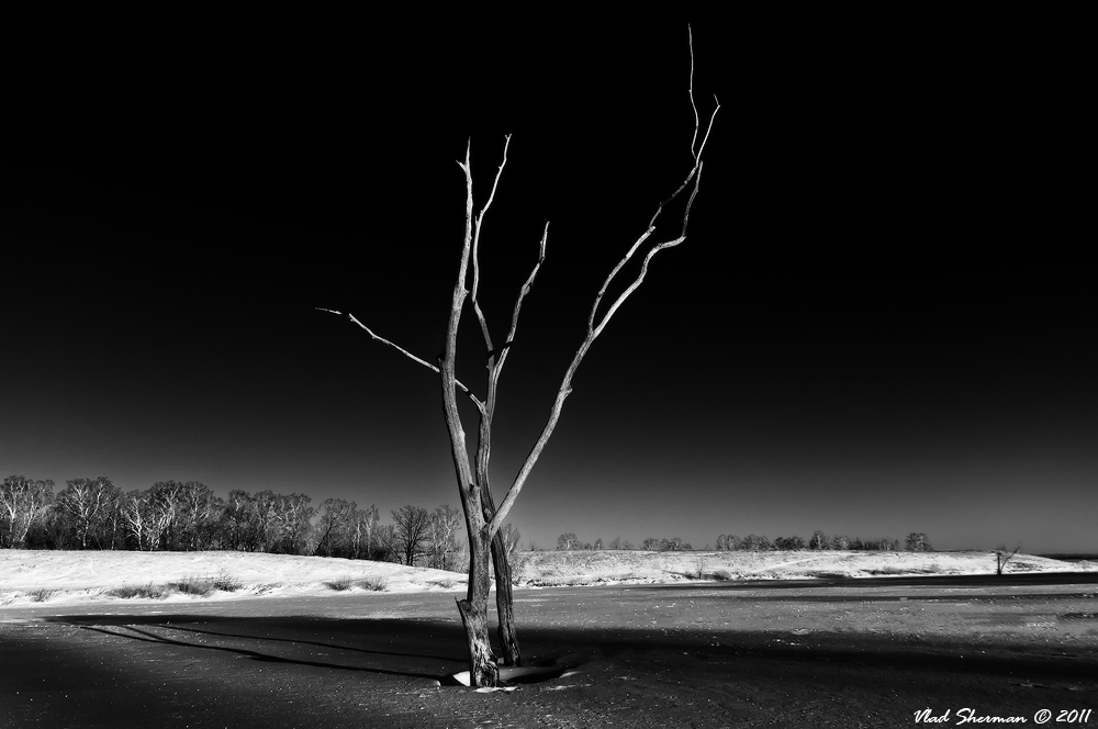 Pas - de - de. Kodex.