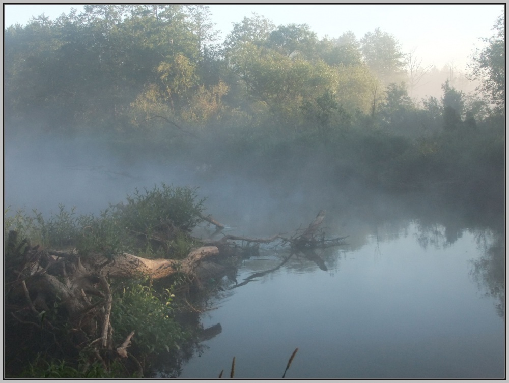 Morgennebel über dem Neman