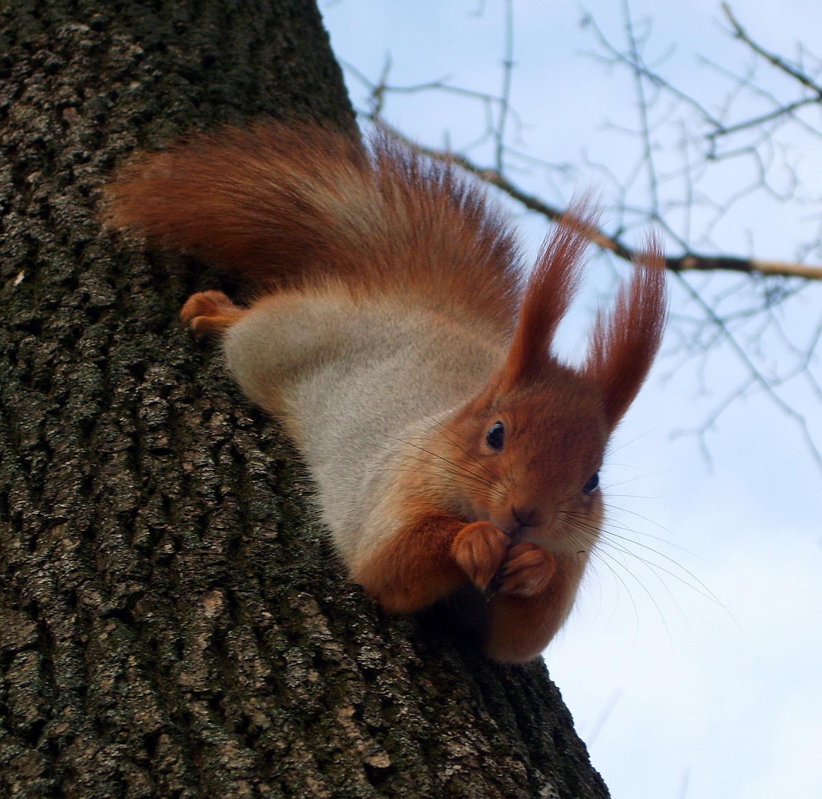 Herr, sende eine Mutter!