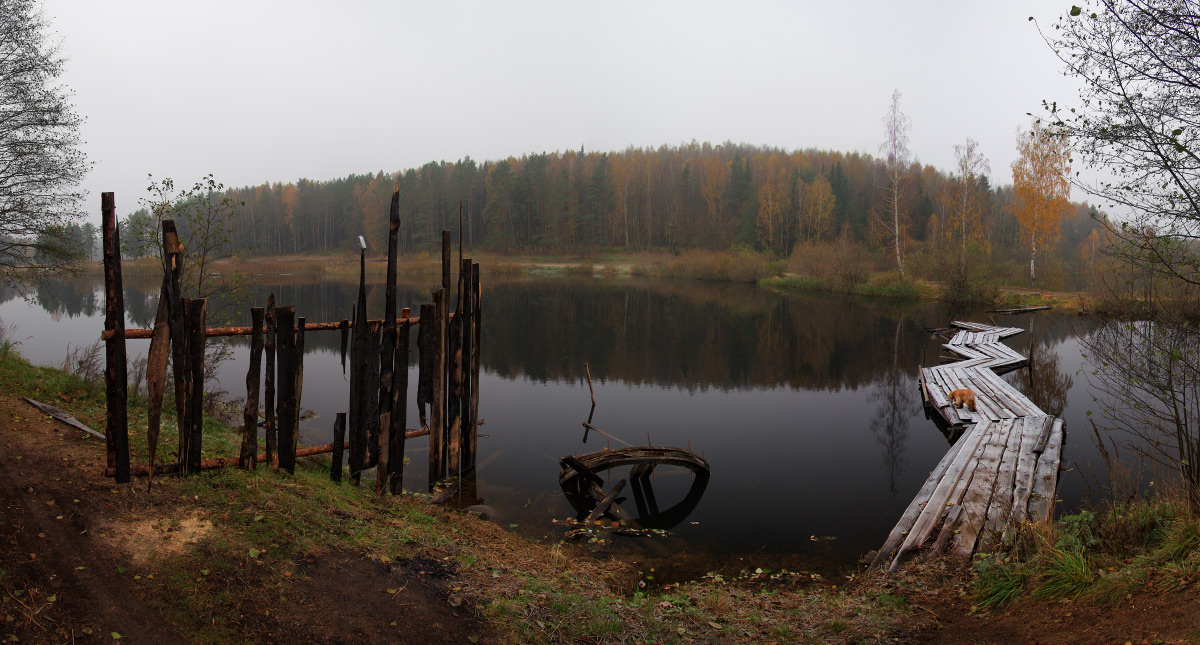 Ein kalter nebligen Morgen