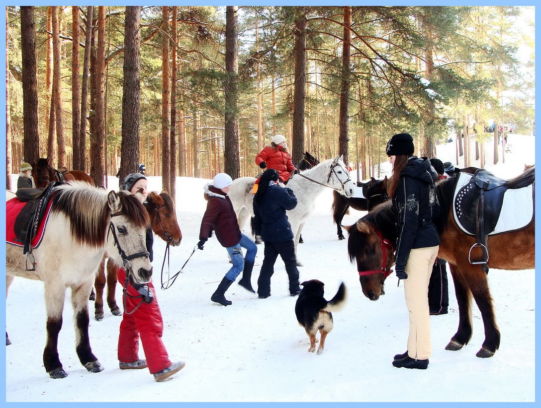 Während des Wartens auf einen Tarif ...