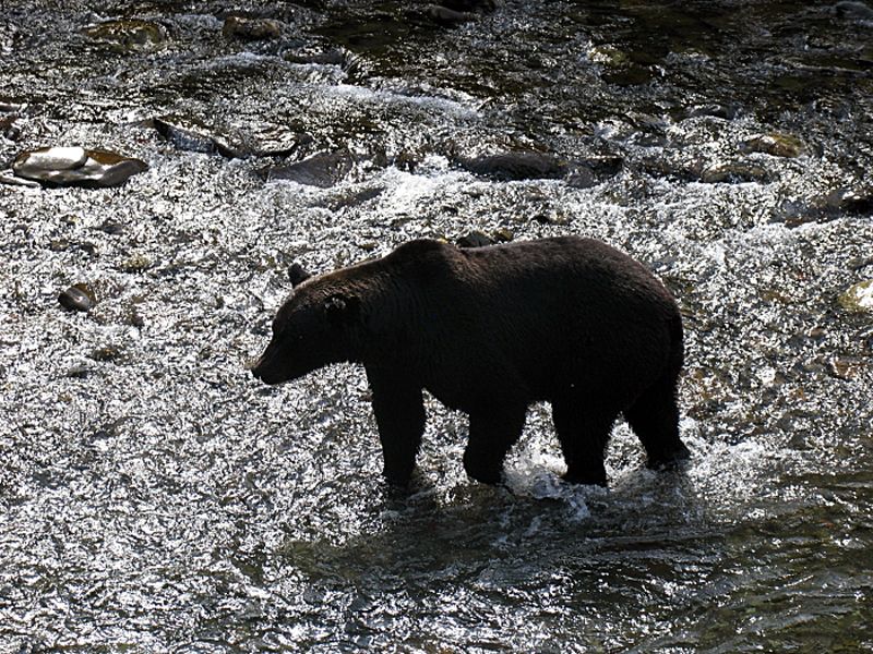 Eine unerwartete Begegnung ....