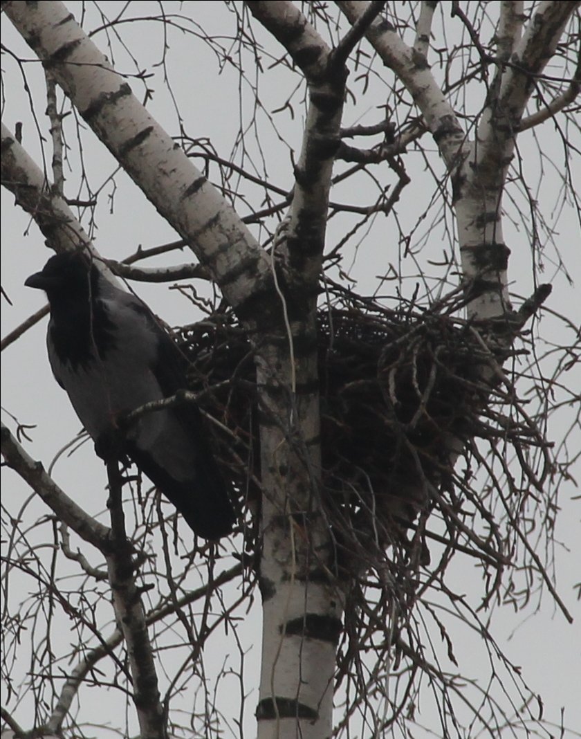 Blick aus dem Fenster