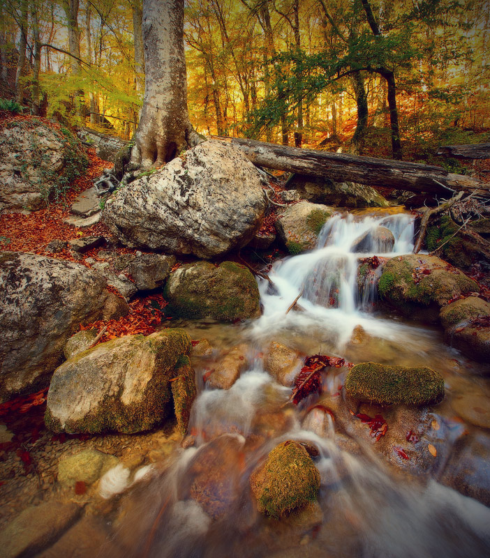 Auf dem Weg zum Jour - Jour
