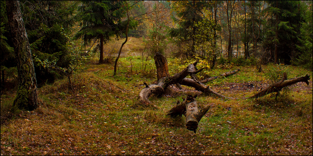 Wo ~ - ~ es in den Wäldern