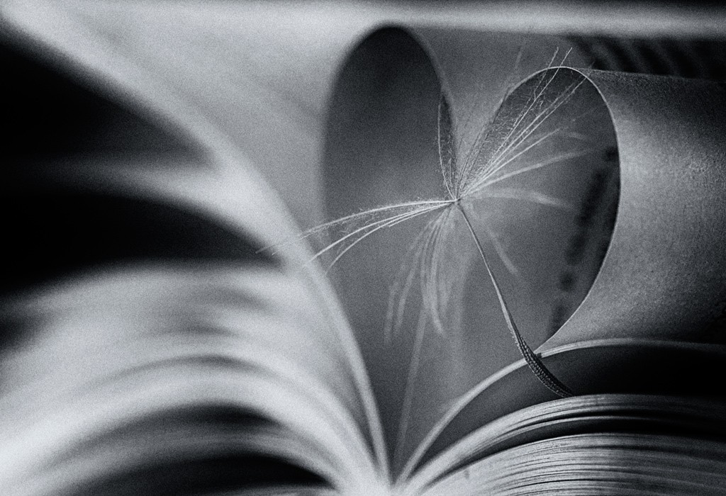 Unser Leben ...... wenn redaya Buch ...