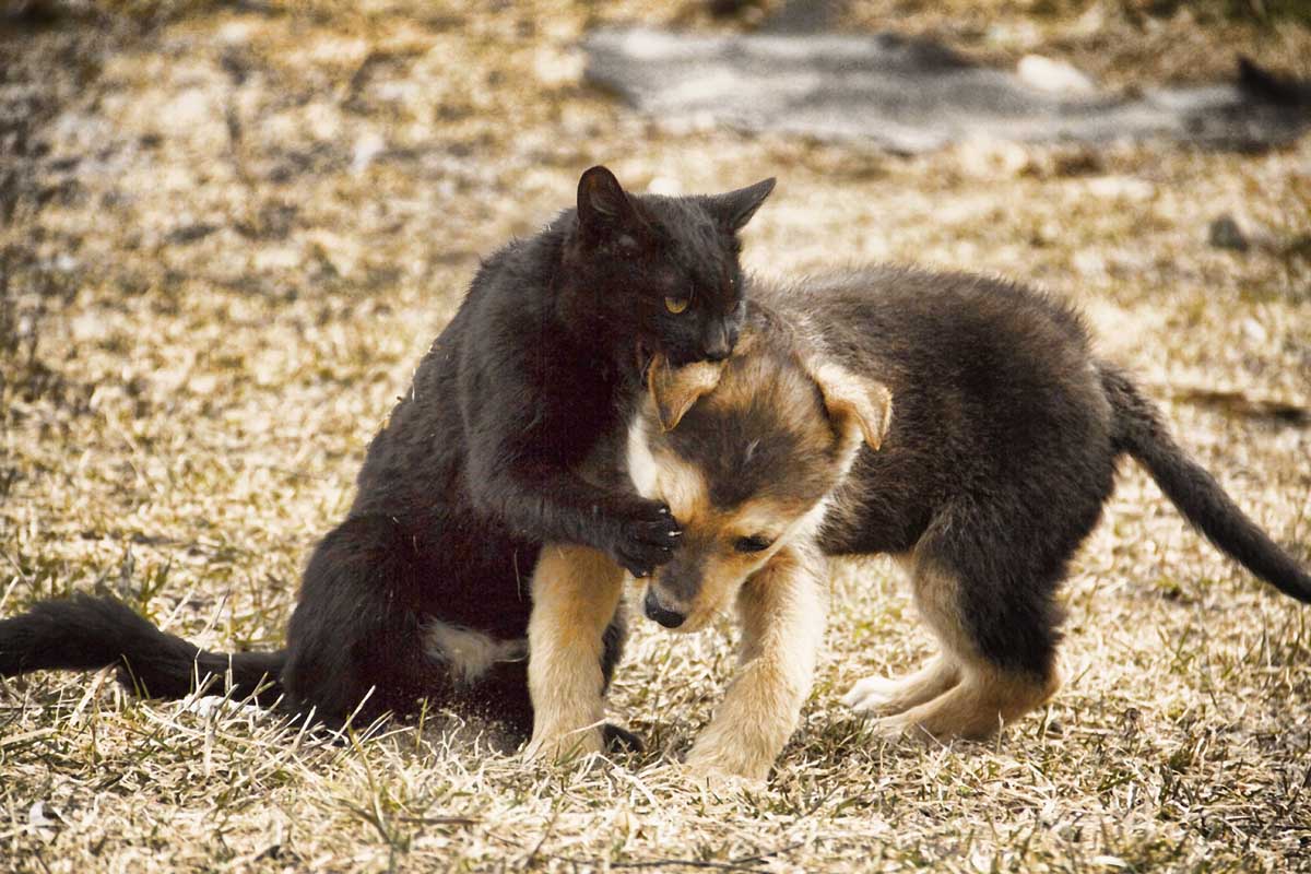 So ist das Leben eines modernen Hof