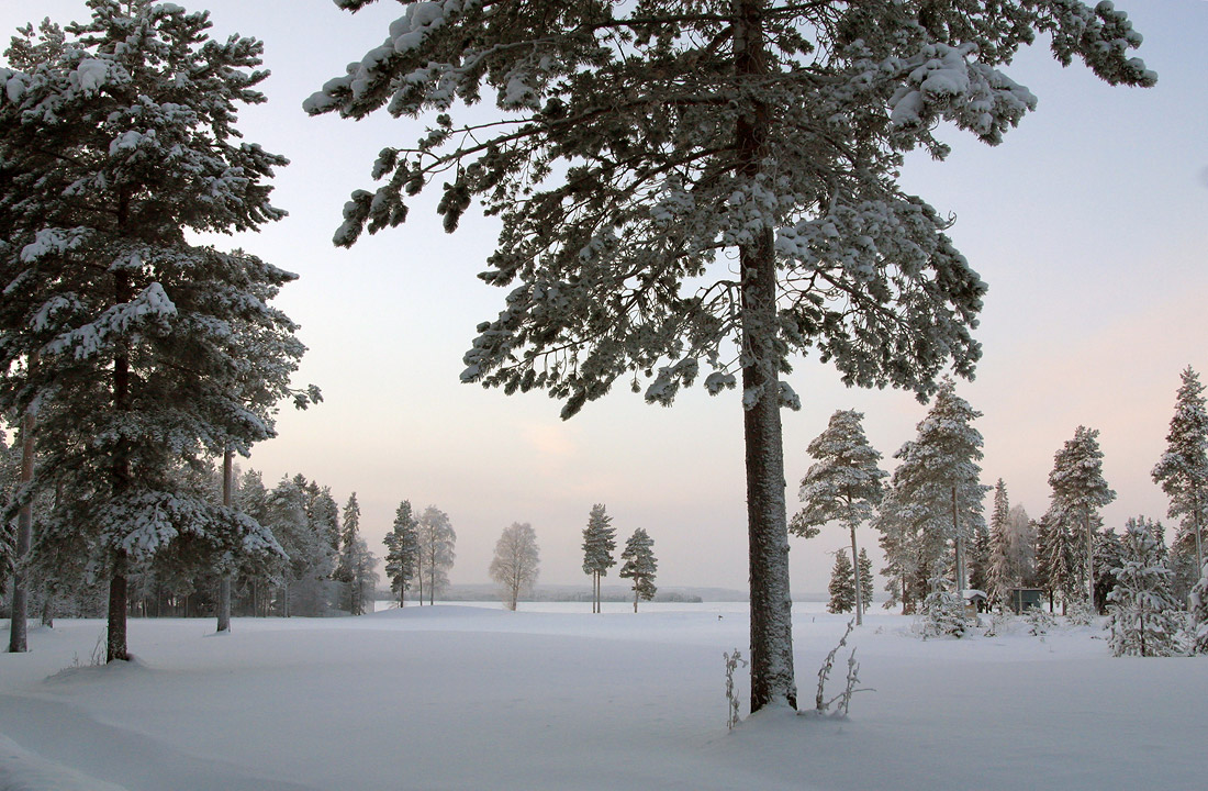 Gerade im Winter ...