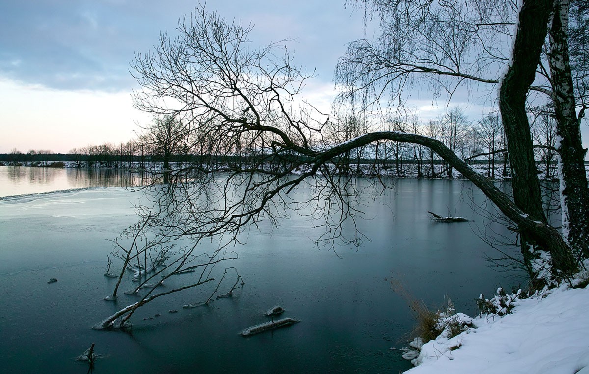 In der Gefangenschaft das Eis