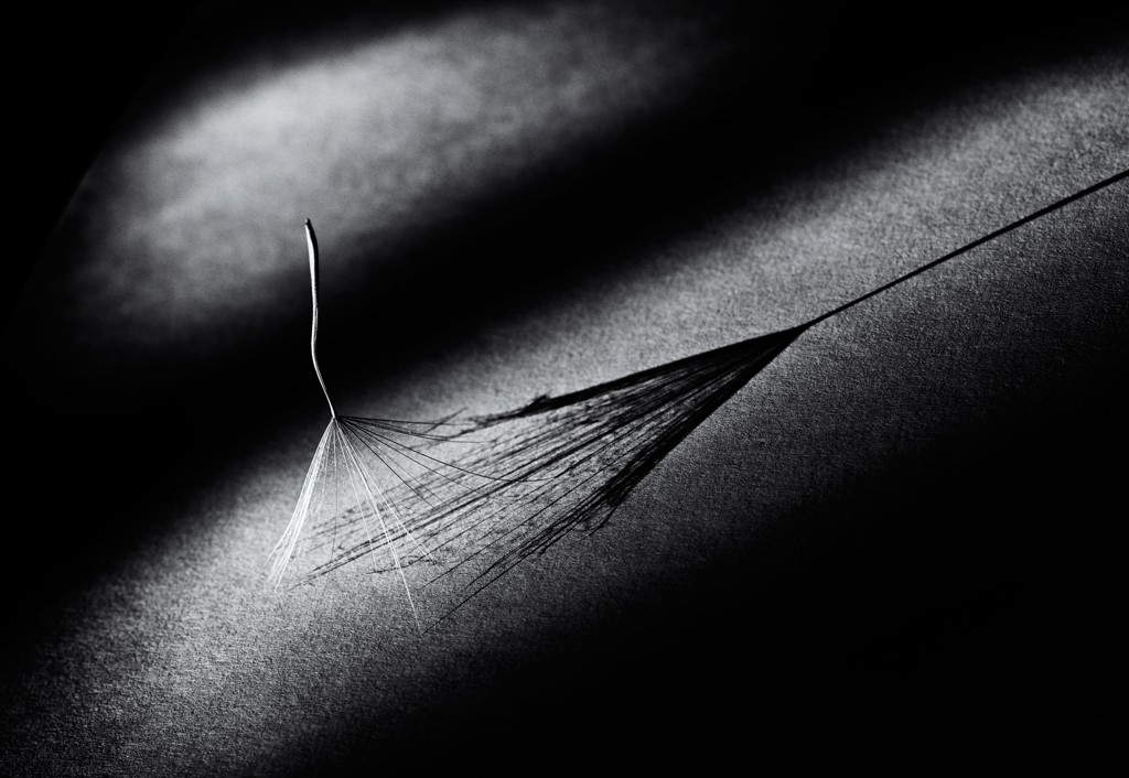 Tanz mit dem Schatten ...