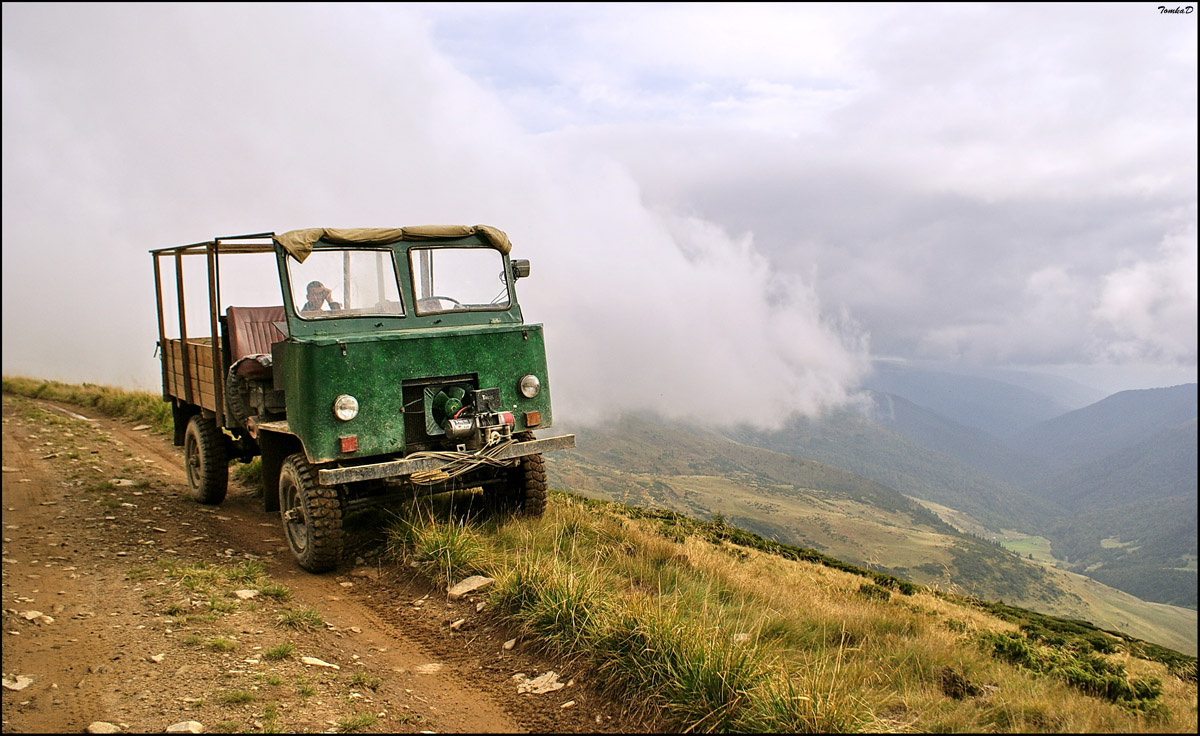 Über Beerenpflücker in den Bergen