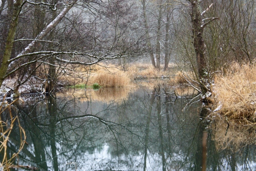 Treffen mit dem ersten Schnee