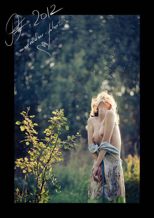 PF - 2012: Das Glück am Morgen Überspannungsschutz