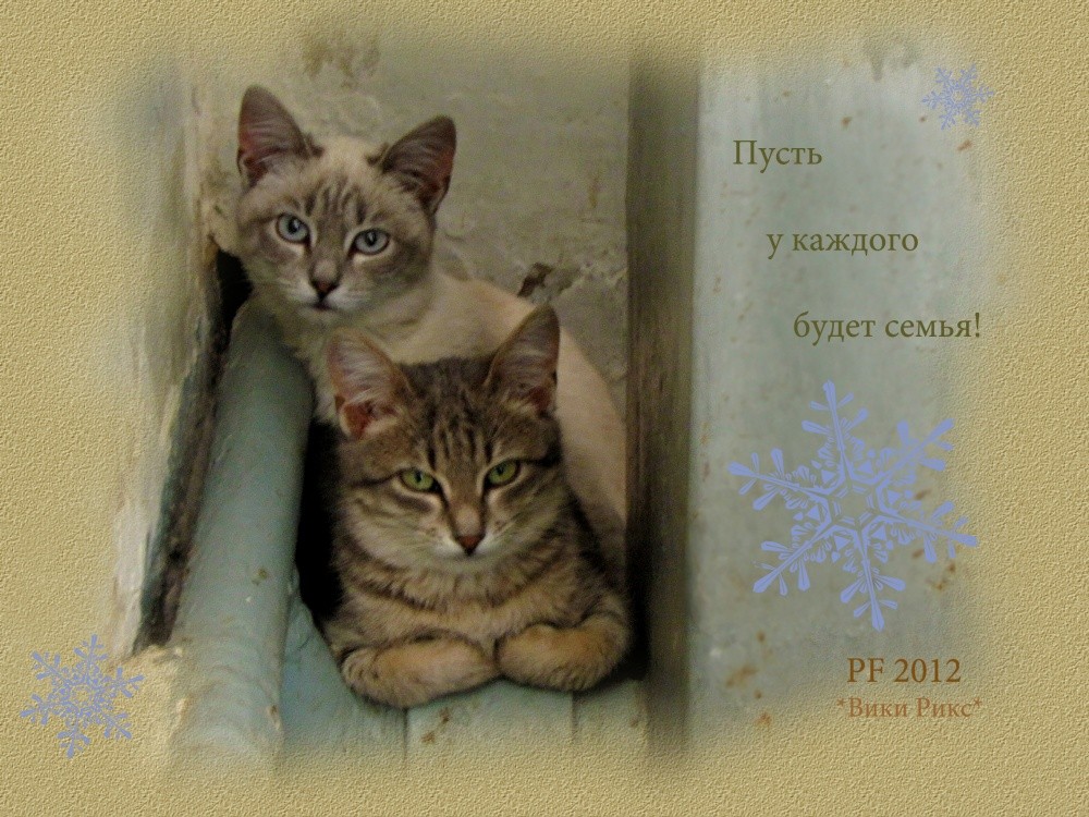 Zeigen Sie allen, ist Familie!