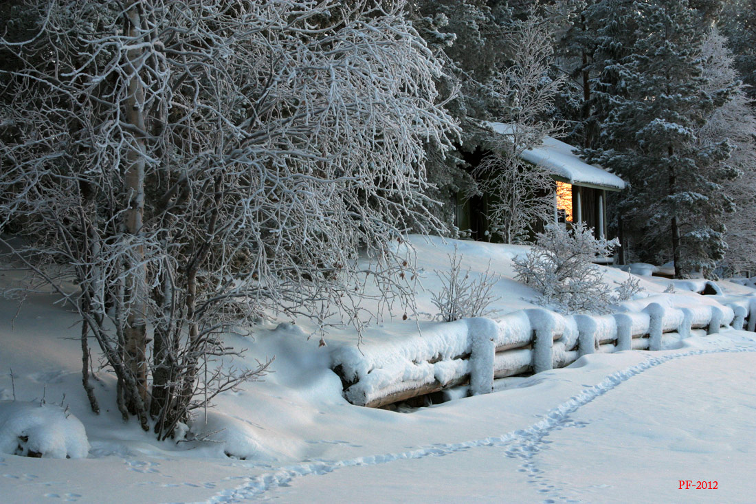Licht und Wärme in das neue Jahr zu Ihnen!