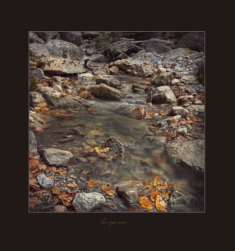 Die Kieselsteine ​​...