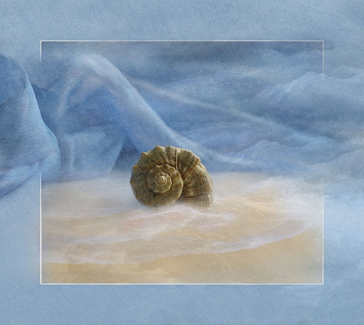 Sea besorgt ... wieder ....