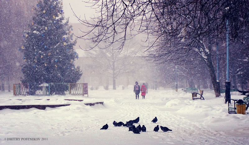 In der Stadt Dubna Blizzard.