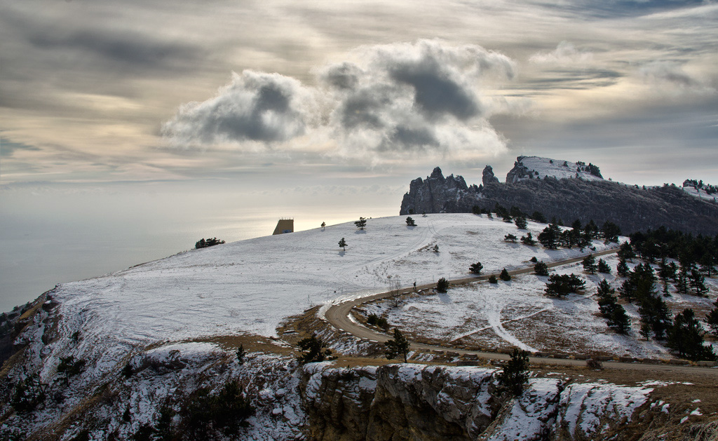 Ai Dreams - Petri ...