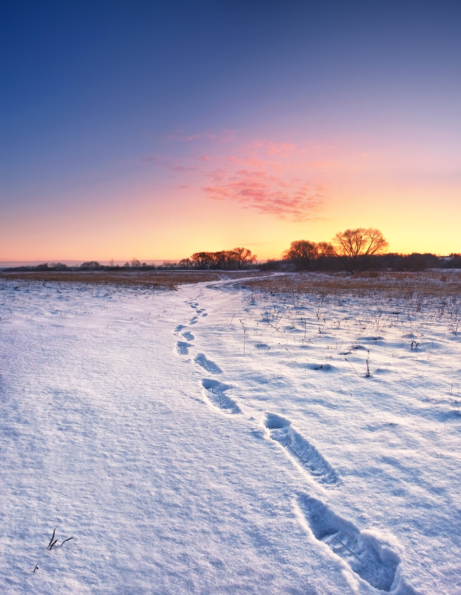 2012 .......... PF geht ........