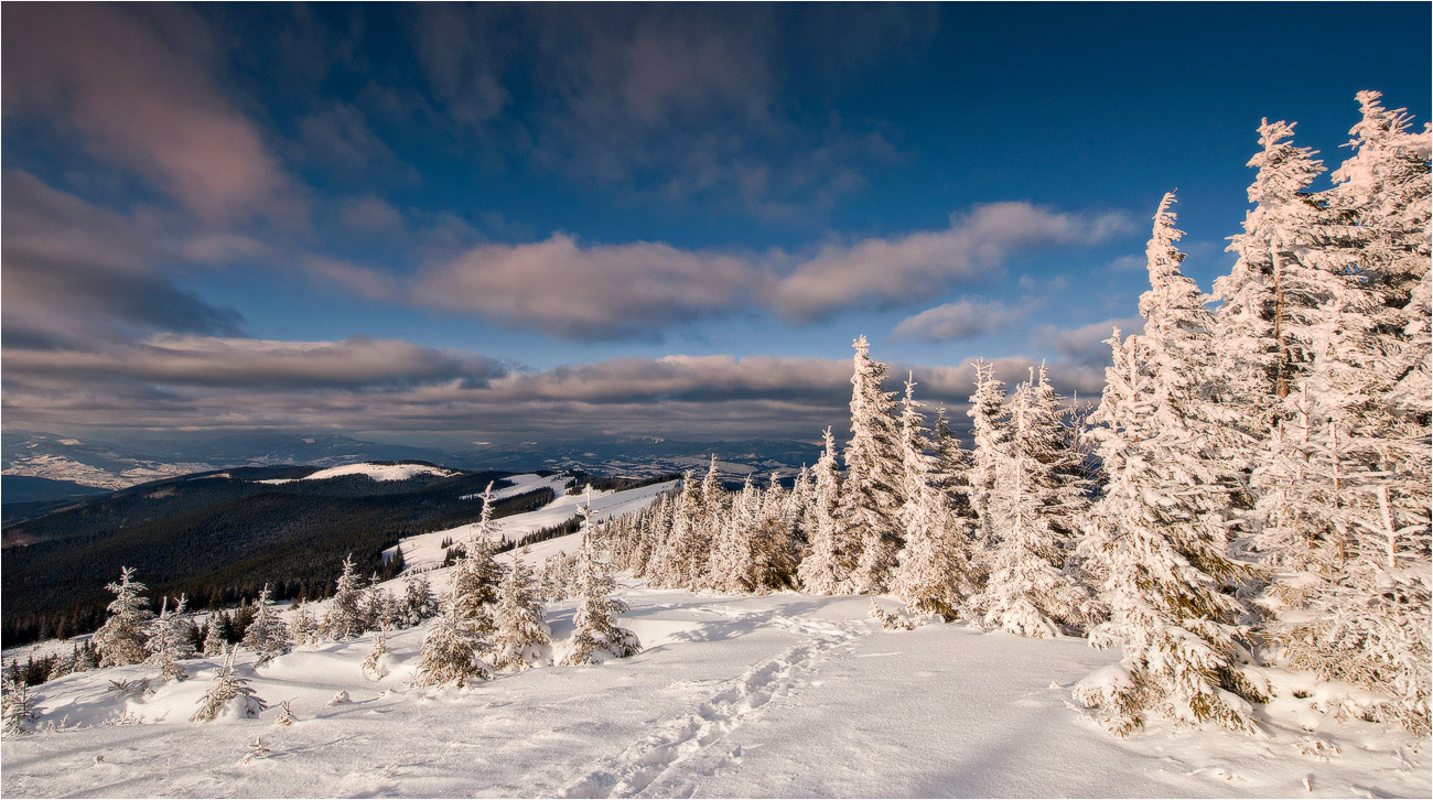 Der Winter kam wieder ...