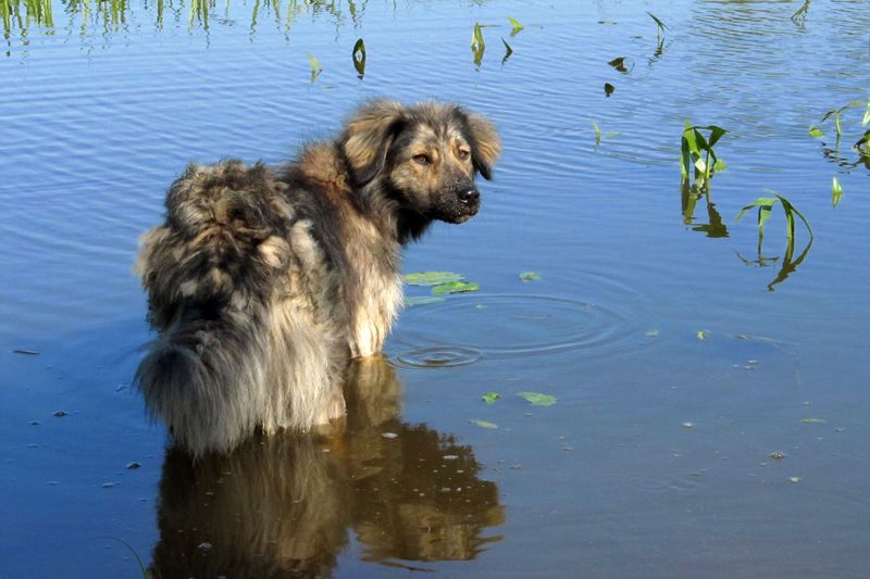 Entfliehen Sie der Hitze
