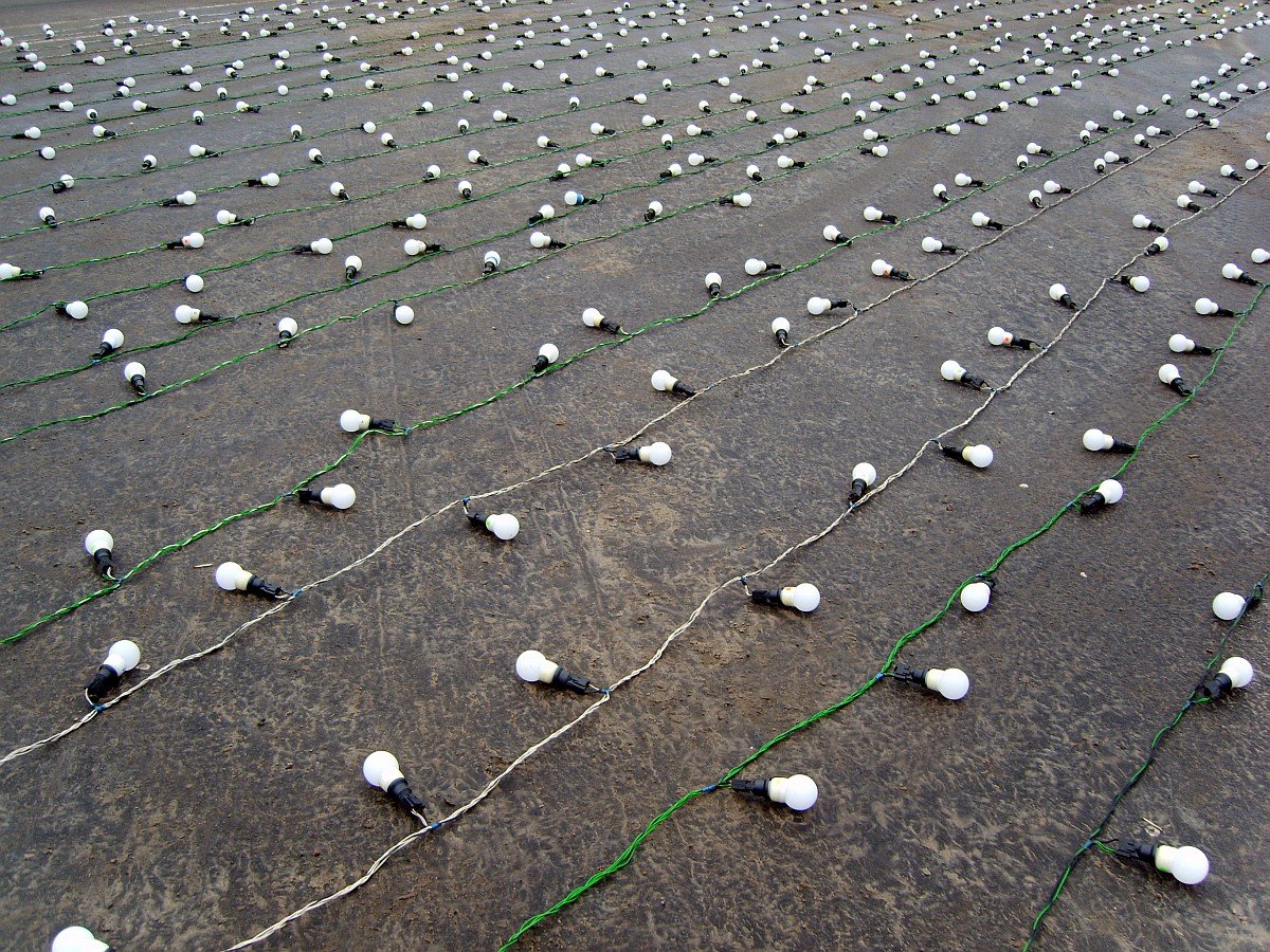 Lay Birnen, kann man nicht essen
