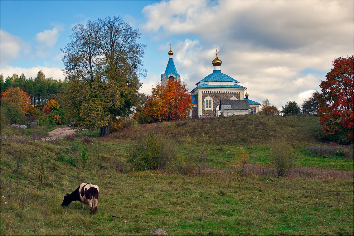 Über Burenka und nicht nur