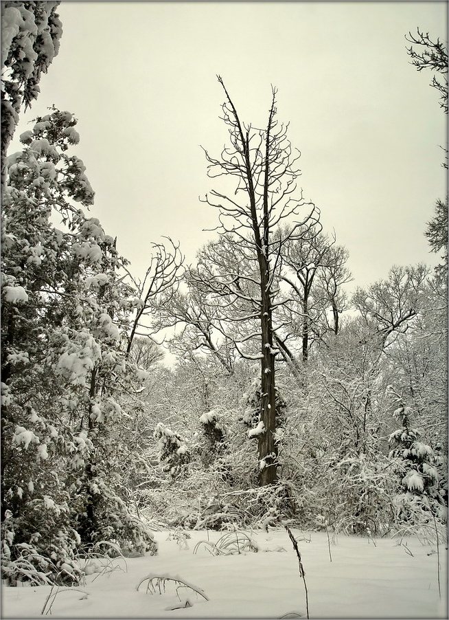 kalyandarny Haltung. pradvestse Svyatkaou