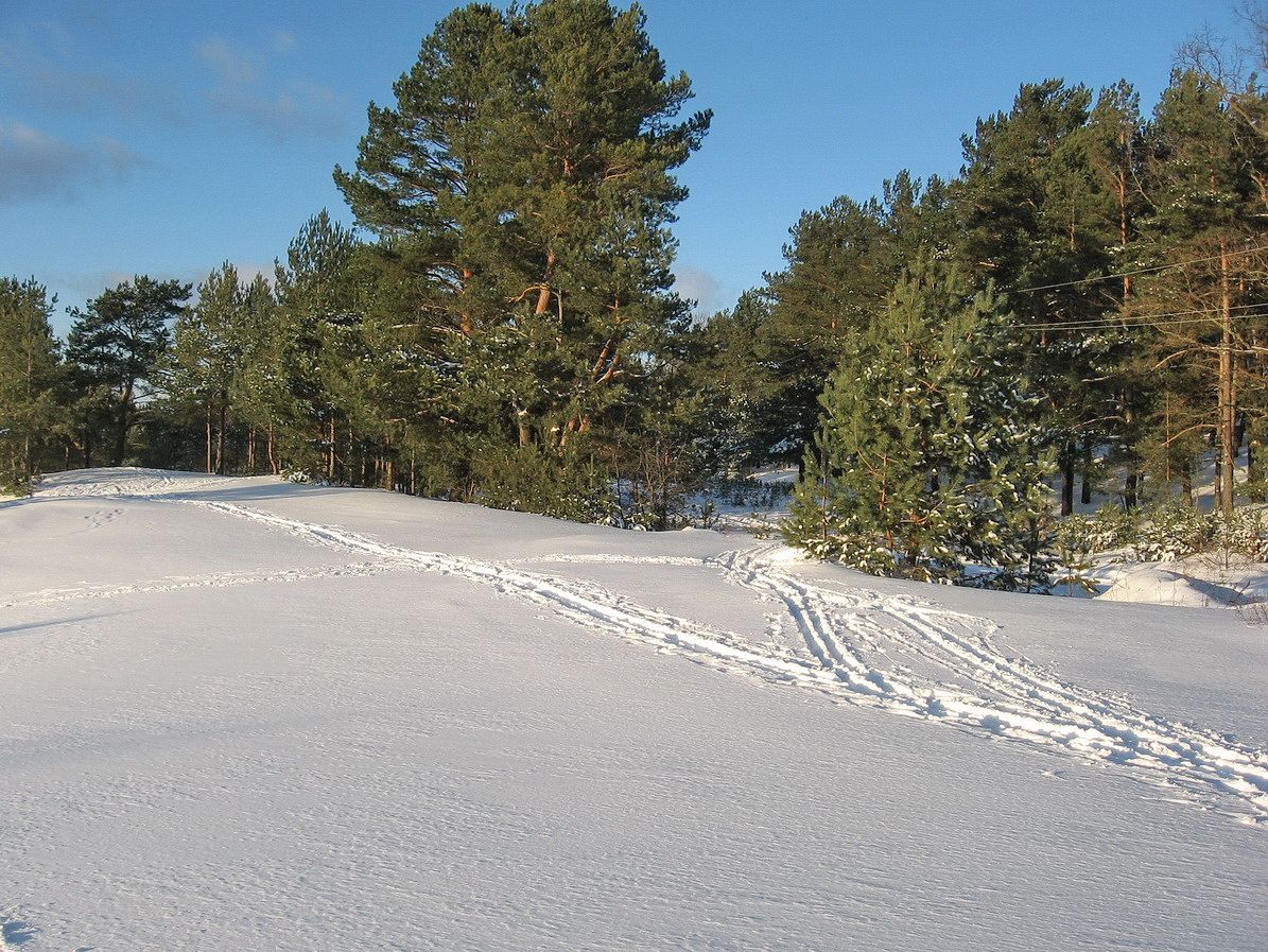 Eines Tages im Winter ...