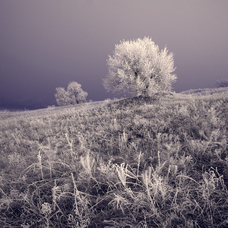 fabelhaft Winternacht