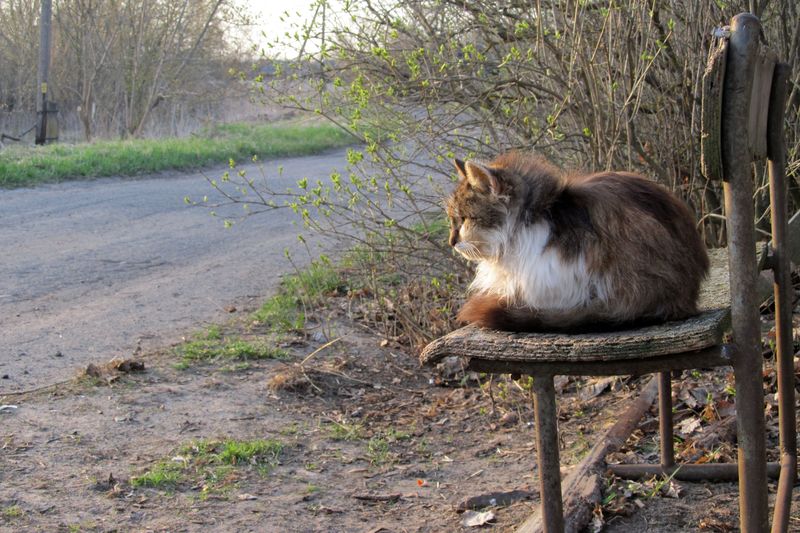 Die Begegnung mit einem Morgen