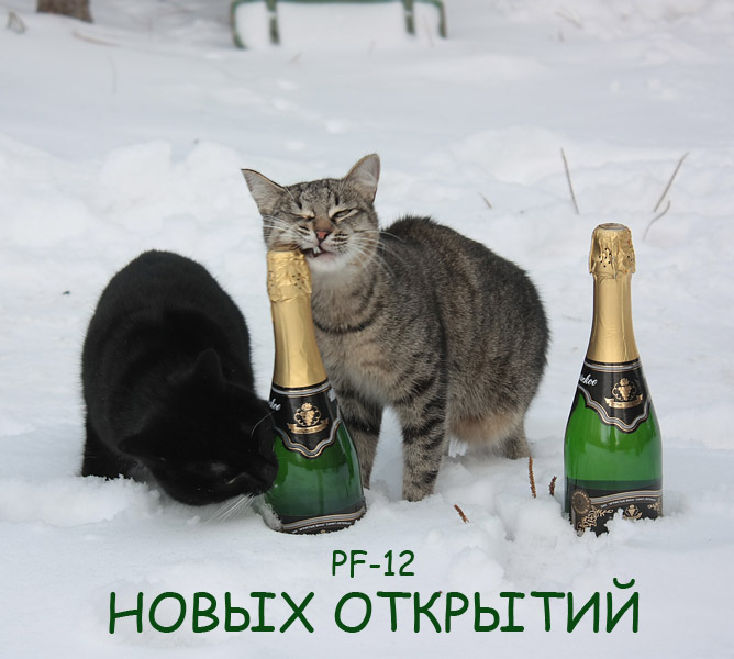 Bob, bringen die Gläser, genau jetzt, zu öffnen)